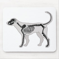DOG ANATOMY X-RAY VET mousepads