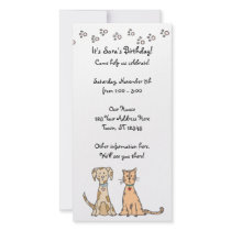 Dog and Cat Birthday Invitation photo cards by tiffjamaica Dog and Cat Birthday Invitation photo cards