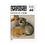 Dog and Cat Cuddle postage
