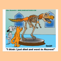 Dog And Cat  In Museum See Dinosaur Skeleton postcards