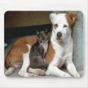 Dog and Cat Mousepad by animaltees Dog and Cat Mousepad