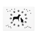 Dog and Cat Postcard