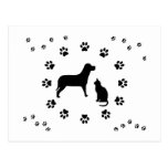 Dog and Cat Postcard