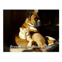 Dog and Cat Veterinary Appointment Postcard