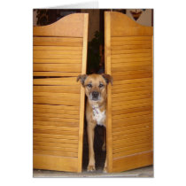 Dog and Doors cards by jherrin Dog and Doors cards