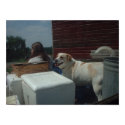 Dog and Girl on truck posters