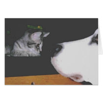 Dog and Kitten cards by spreedog Dog and Kitten cards