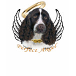 english, springer, spaniel, dogs, dog, lovers,