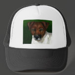 Dog Art - Jack Russell Terrier - Otis Hat