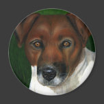 Dog Art - Jack Russell Terrier - Otis Refrigerator Magnets
