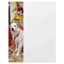 Dog at Carnival Flyers