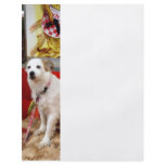 Dog at Carnival flyers