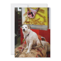 Dog at Carnival Custom Invites