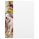 Dog at Carnival Custom Letterhead