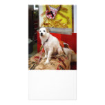 Dog at Carnival Customized Photo Card