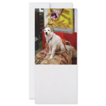 Dog at Carnival Rack Card Template