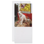 Dog at Carnival rack cards