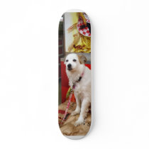 Dog at Carnival Skate Board