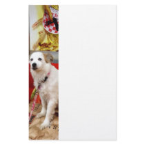 Dog at Carnival Custom Stationery