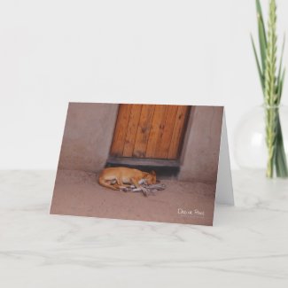 Dog at Rest Greeting Card
