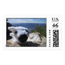 Dog at the Canyon postage by PinkCollarDesign Dog at the Canyon postage