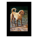 DOG AT WATER'S EDGE CARDS