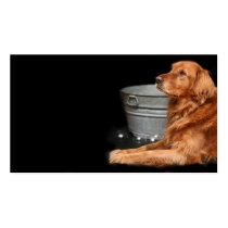 Dog bath business cards by deemac1 Dog bath business cards