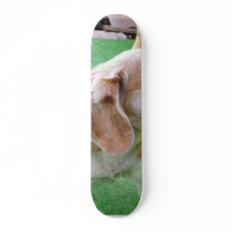 Dog Beautiful skateboards