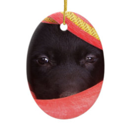 Dog Behind Waterhose Photo Ornament