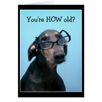 Dog birthday funny greeting card