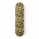 Dog Biscuits Skate Decks