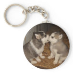 dog biting dogs mouth keychains