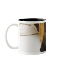 Dog biting tennis ball coffee mugs