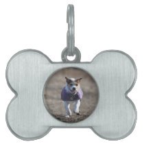 Dog Bone Pet Tags