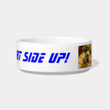 Dog Bowl Drink Right Side Up by Beans The Whippet