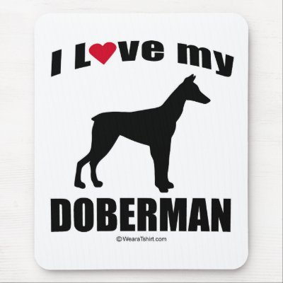 doberman dog breed