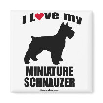 "DOG BREED" - MINIATURE SCHNAUZER - "I LOVE MY MIN magnets by humortees "DOG BREED" - MINIATURE SCHNAUZER - "I LOVE MY MIN magnets