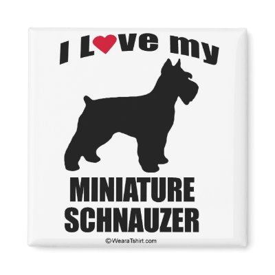 "DOG BREED" - MINIATURE SCHNAUZER - "I LOVE MY MIN MAGNETS by humortees