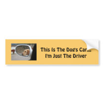Dog Bumper Sticker bumper stickers