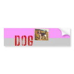 Dog Bumper Sticker