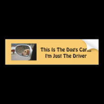 Dog Bumper Sticker bumper stickers