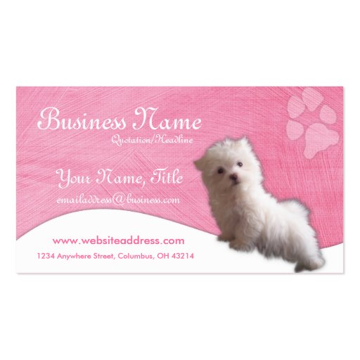 Dog Business Cards :: Maltese Puppy (front side)