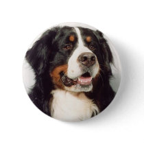 Dog Buttons