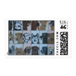 dog by eric ginsburg stamp