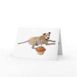Dog Cake Birthday Card cards