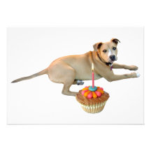 Dog Cake Birthday Invitation