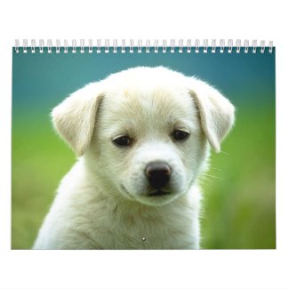 Dog calander calendar
