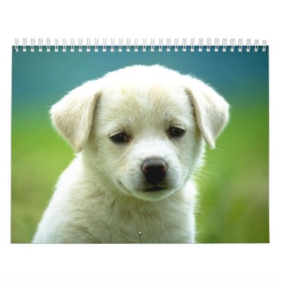 Dog calander wall calendar by iluvdogs15895
