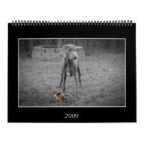 Dog Calendar