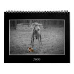 Dog Calendar
